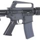 CGS T8 SP SYSTEMS COLT M653 LS �����֥����Хå� (COLT Licensed)