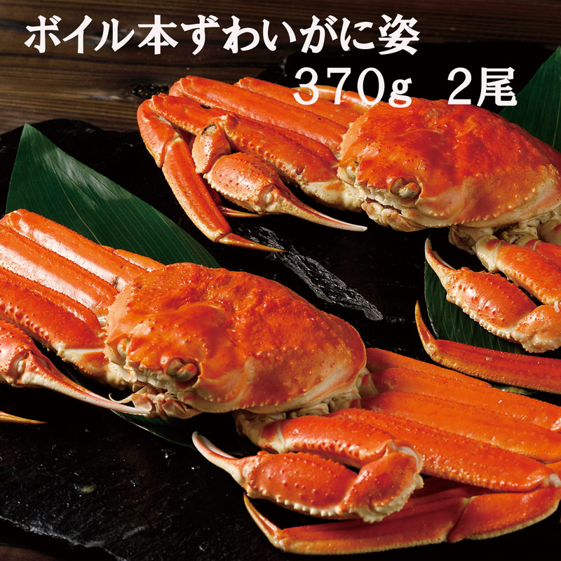 ¥Ü¥¤¥ëËܤº¤ï¤¤¤¬¤Ë»Ñ¡¡370£ç£²Èø