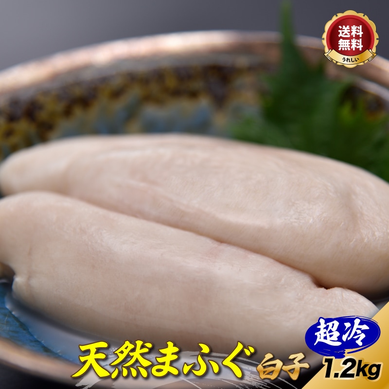 դ顢ŷפ顢ƤҤˡ ܾ컳ľŷޤդ1.2kgĶ