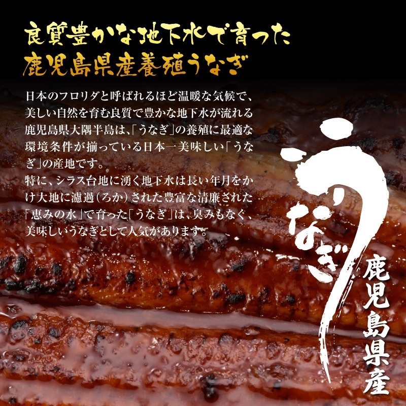 200g祵졦ܥաֹ񻺤ʤ1Ķ  ʤ    ̵   Τ ץ쥼  ˤ  