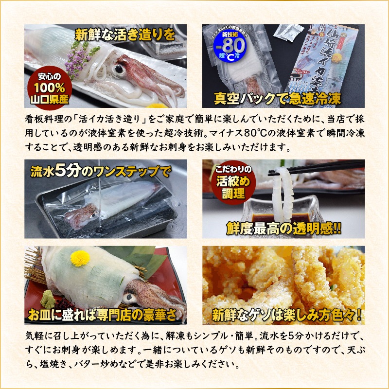 ����̵�����ַ��褤����¤��2������Ķ��סʿ����ѥå���Ķ�䥿���ס�