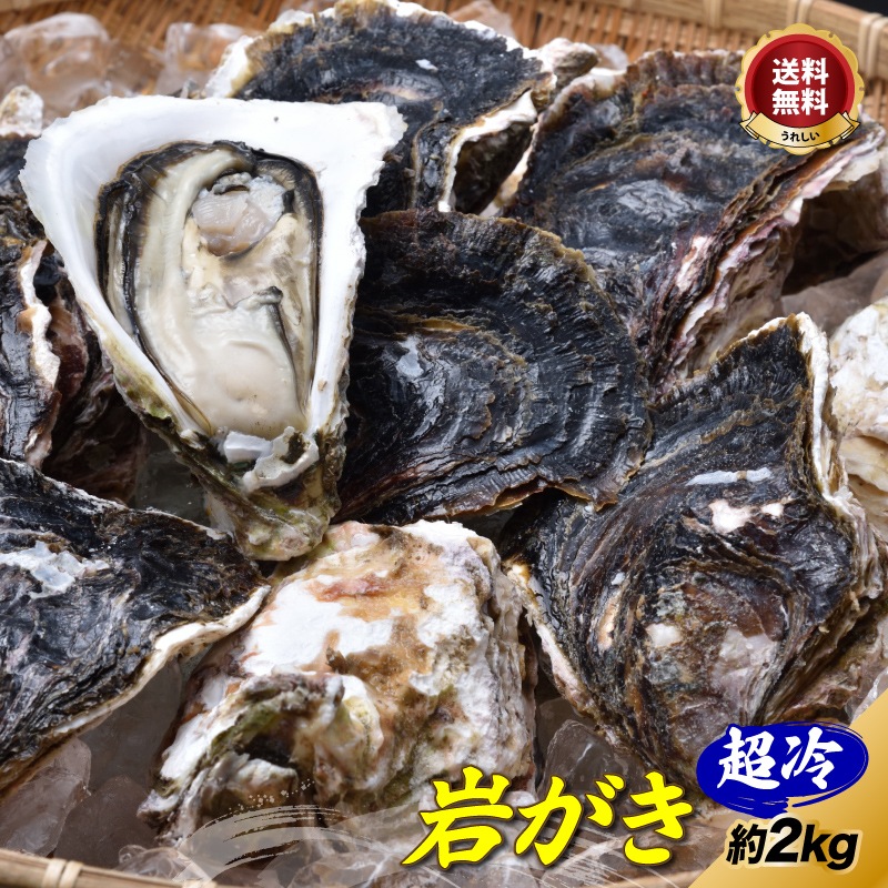 ܳ䤬ִ䤬kgĶ䡡̵ 䥬 䲴