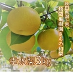 �ڻ�ľ�۹��塡3��