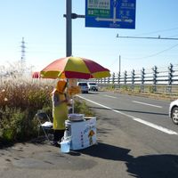 �ڻ�ľ�ۥХХإ饻�å�:1