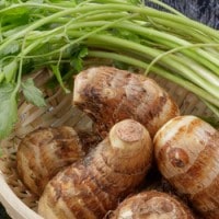 ����Τ���3��4����:2