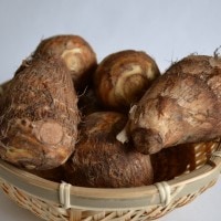 ����Τ�ñ�ʡ�500g:1