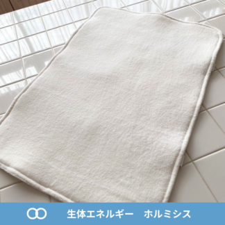 ホルミシス枕カバー