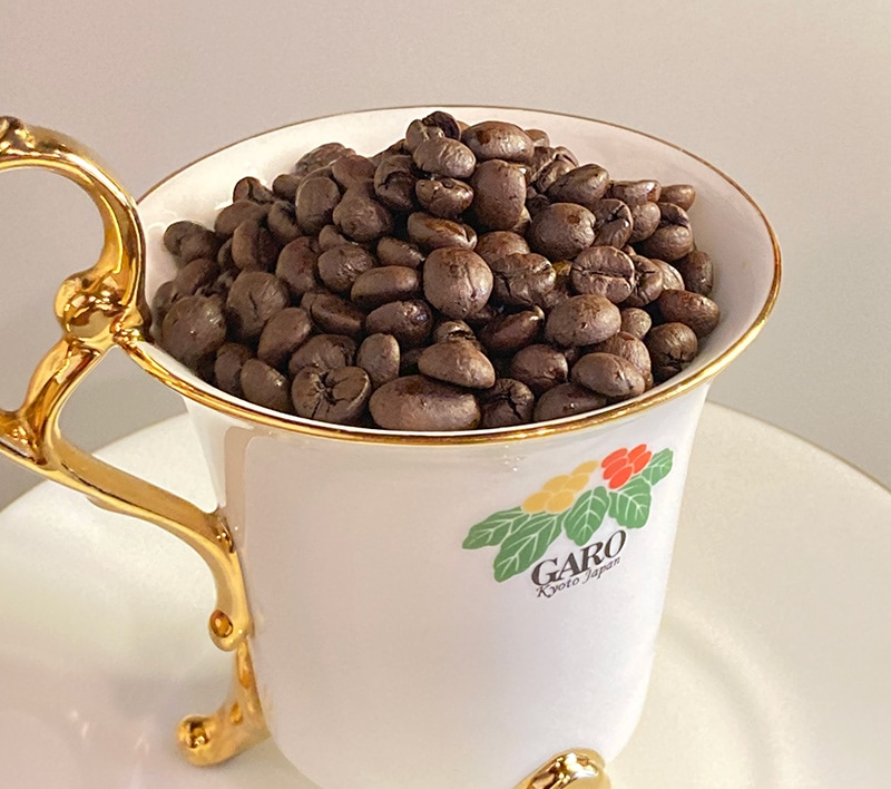 ���顼�� ���Х��� �ʥ����롡����������