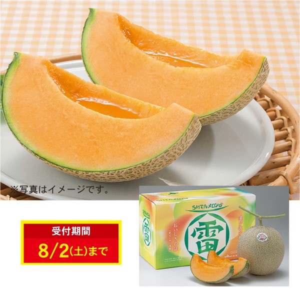 らいでんメロン秀品1.6×2玉　化粧箱入