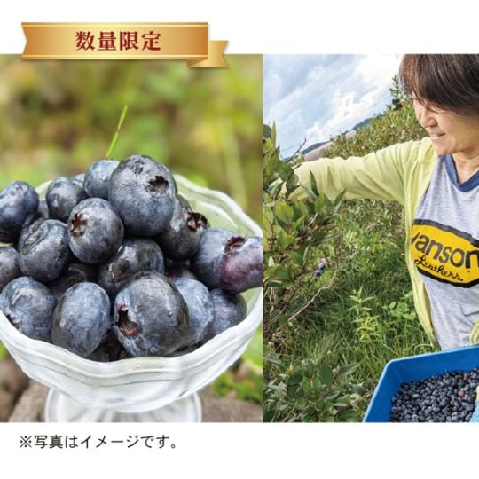津別　細川農園　冷凍ブルーベリー　数量限定