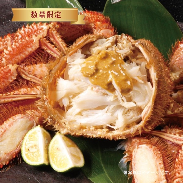 北海道産　浜ゆで毛蟹姿　約560g×1尾　数量限定