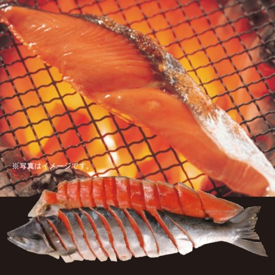 11.　紅鮭姿切身（1尾）