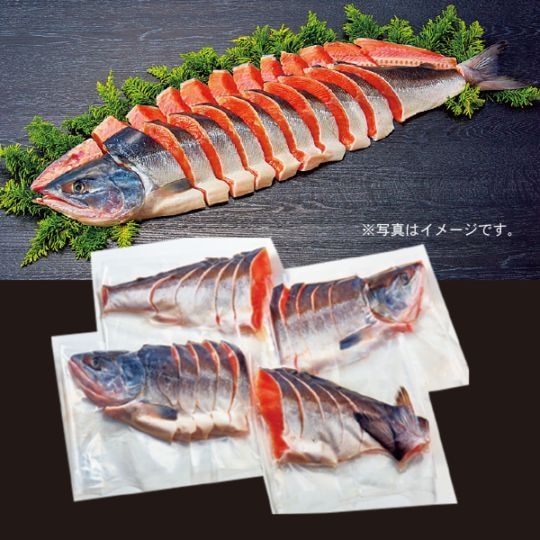 13.　三協水産　北海道日高沖　船上活〆時鮭姿切身1.8ｋｇ