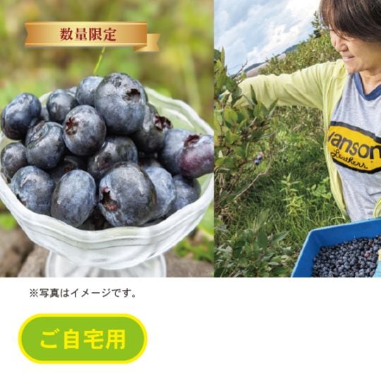 122.　津別　細川農園　冷凍ブルーベリー　数量限定