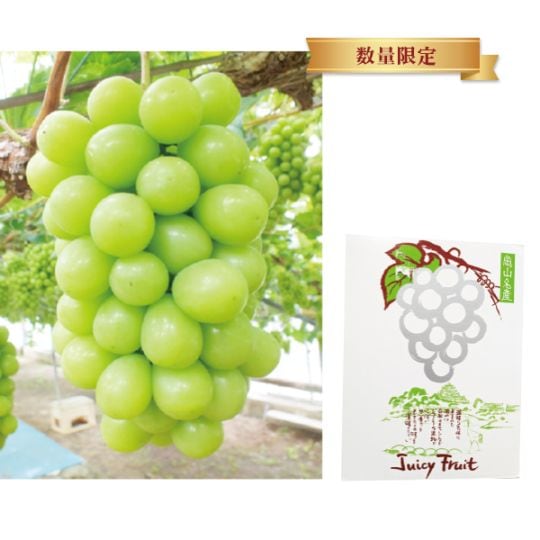 123.　岡山県「五果苑」　越冬シャインマスカット　数量限定