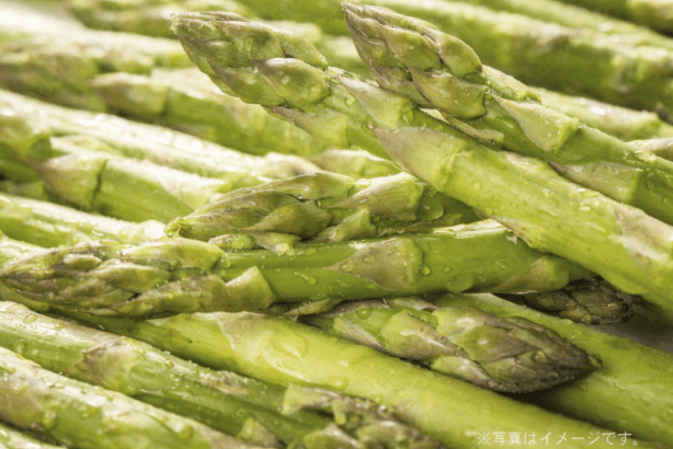 4/7より用意整い次第順次発送　お届け希望日受付不可商品　北海道産　アスパラガス　Lサイズ800ｇ　産地直送　