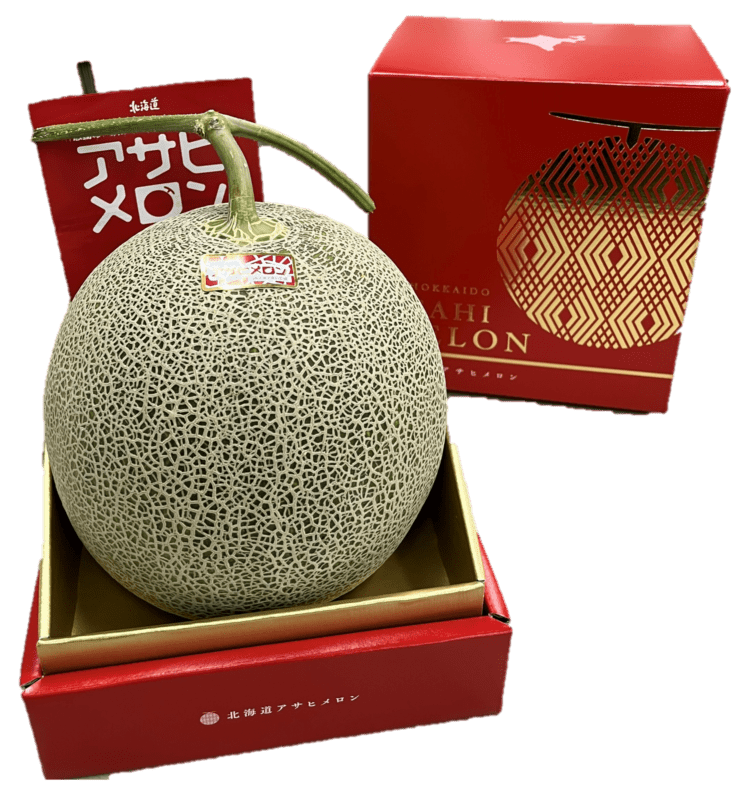 6. JAとまこまい　アサヒメロン大玉　秀品　約2.2kg×1玉　お届け日指定不可　用意整い次第順次発送　発送期間6月下旬～8月中旬