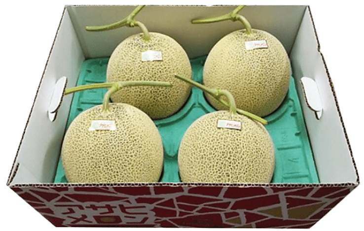8. JAとまこまい　アサヒメロン　秀品　約2.0kg×4玉　お届け日指定不可　用意整い次第順次発送　発送期間6月下旬～8月中旬