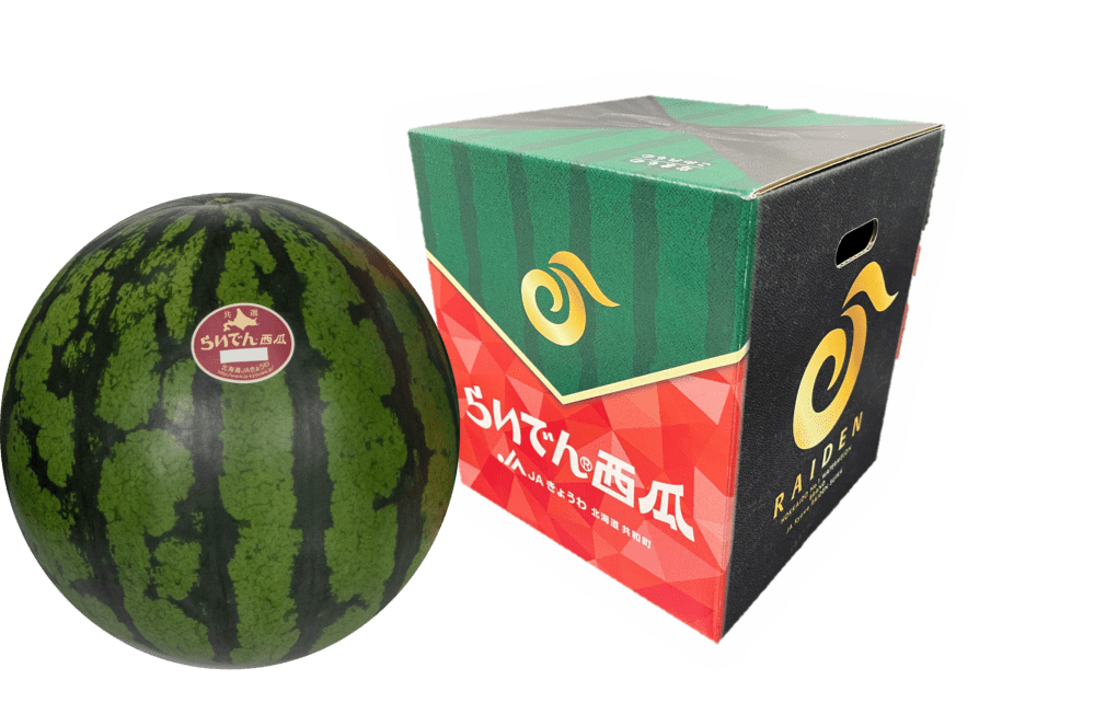 12. らいでんすいか　特秀品1玉　７kg以上　お届け日指定不可　用意整い次第順次発送　発送期間6月下旬～8月中旬