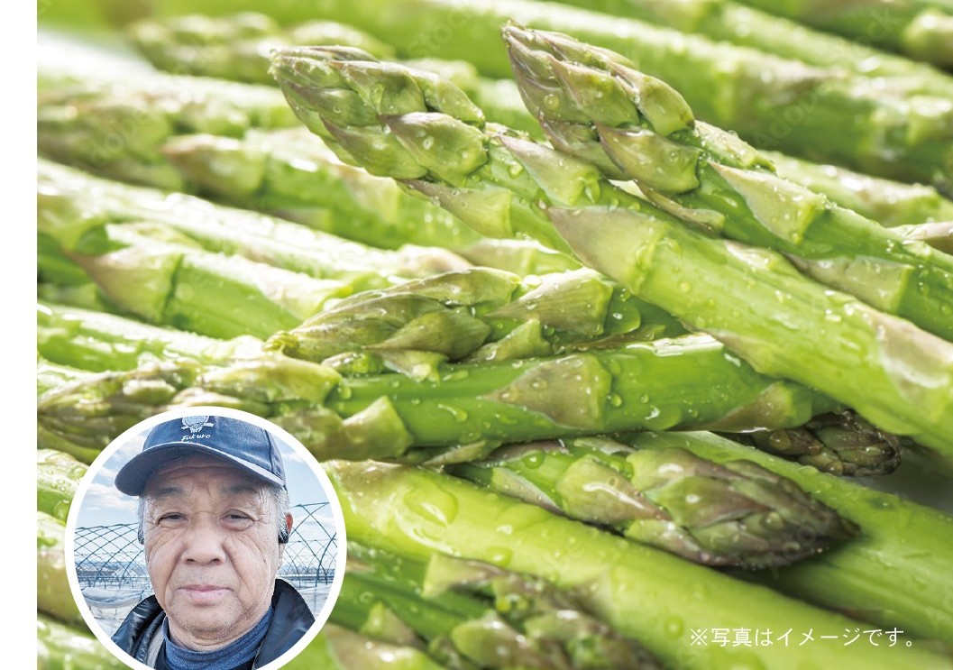 15. アスパラガスM～Lサイズ１㎏　細川農園直送　限定50セット　お届け日指定不可　用意整い次第順次発送　発送期間７月中旬～８月上旬