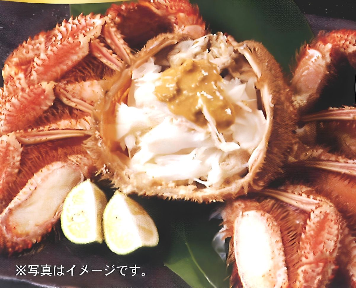 20. 北海道産　浜ゆで毛蟹　約560g×1尾　