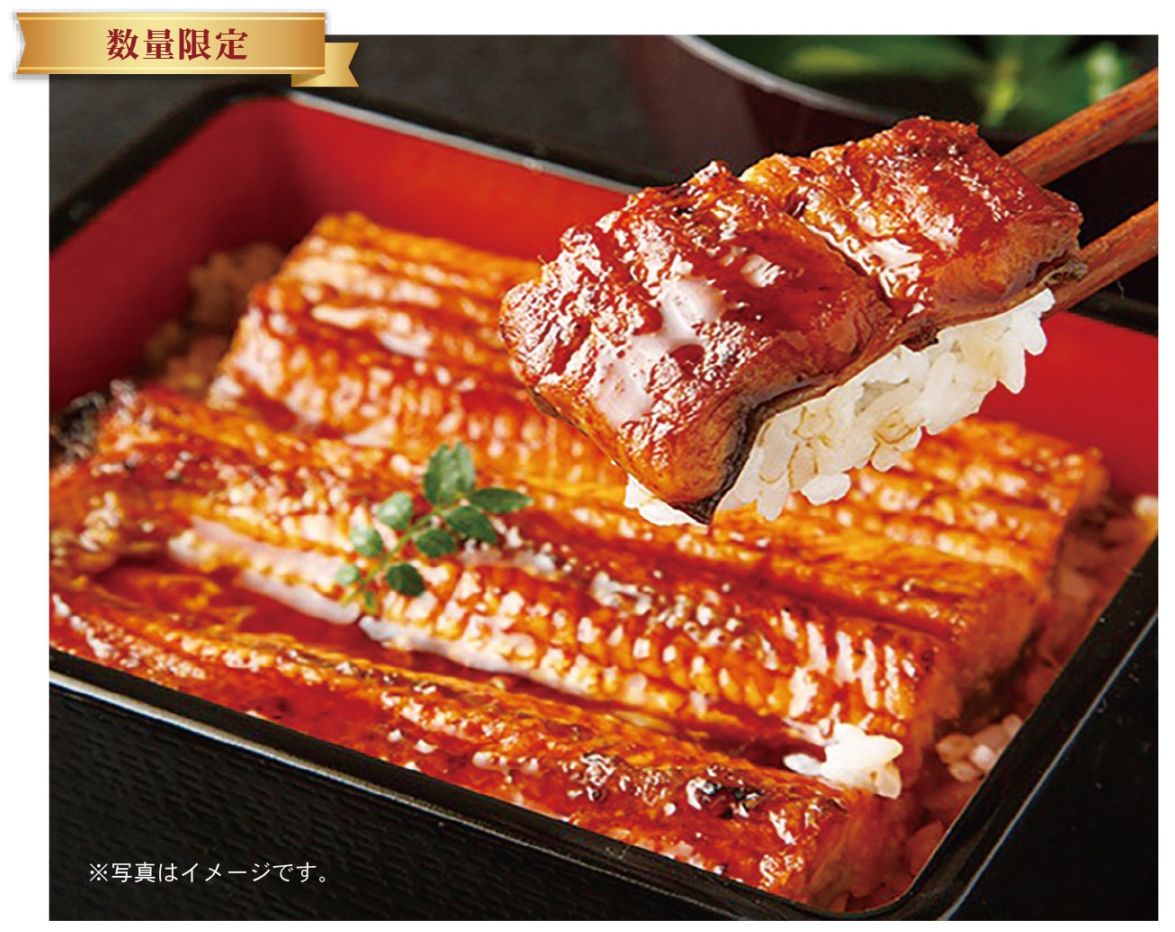 33. 愛知県三河産日本うなぎ  特選うなぎの蒲焼セット　2尾入