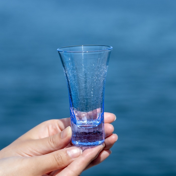 ɹ�β� �������