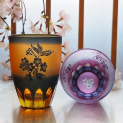 �ܰл��������ڶ���ǽ���饹��