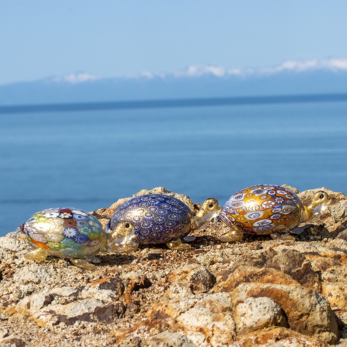 ����꡼�ͥ��˥ޥ�ʥ��եȥܥå����ա�