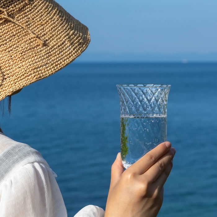 ��Ǯ�����饷�å������䡡����֥顼