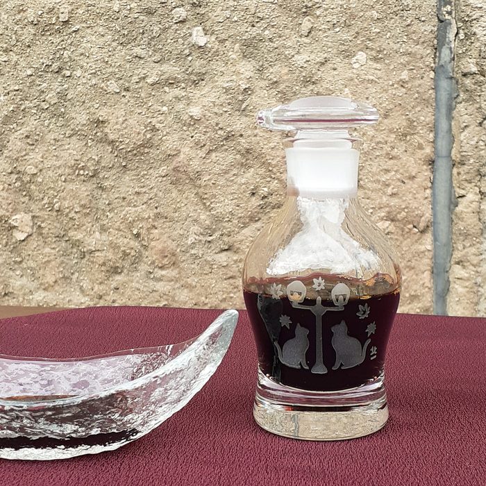 ��î���ϡֹ��աפͤ�����������