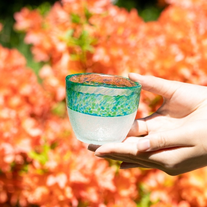 �����̡�����ȭ