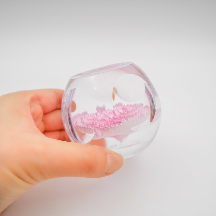 Caithness���ڡ��ѡ��������� ��Carnation�ǡ������͡�����󡡥��ꥢ