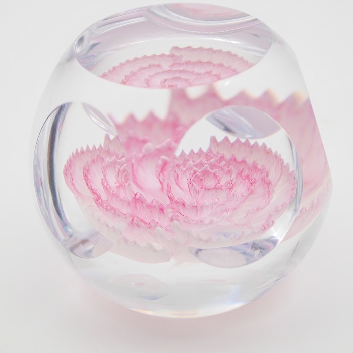 Caithness���ڡ��ѡ��������� ��Carnation�ǡ������͡�����󡡥��ꥢ