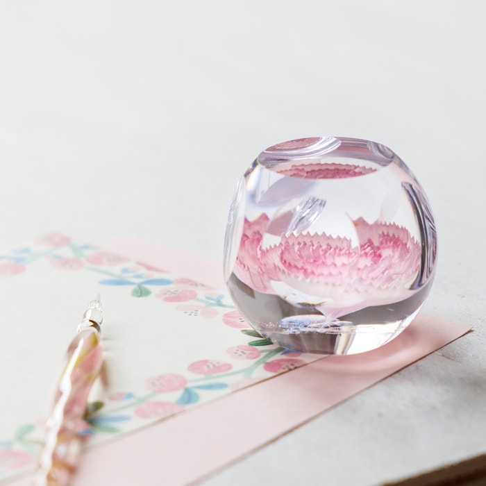 Caithness���ڡ��ѡ��������� ��Carnation�ǡ������͡�����󡡥��ꥢ