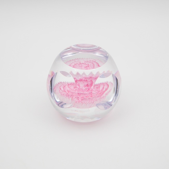 Caithness���ڡ��ѡ��������� ��Carnation�ǡ������͡�����󡡥��ꥢ