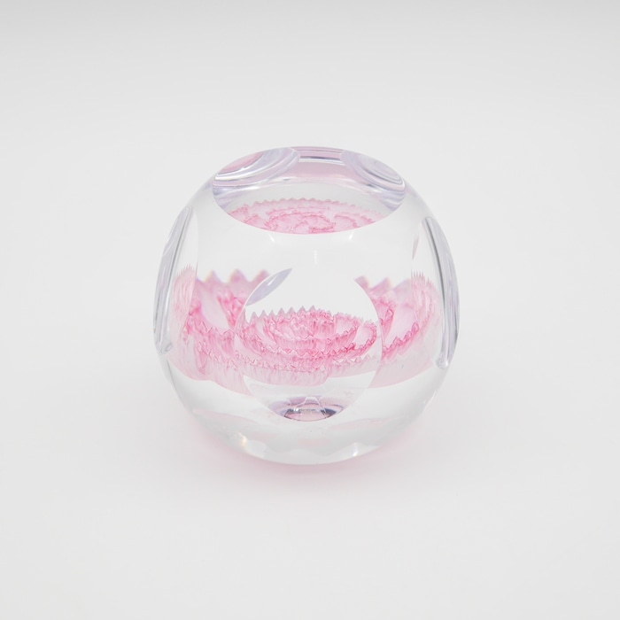 Caithness���ڡ��ѡ��������� ��Carnation�ǡ������͡�����󡡥��ꥢ