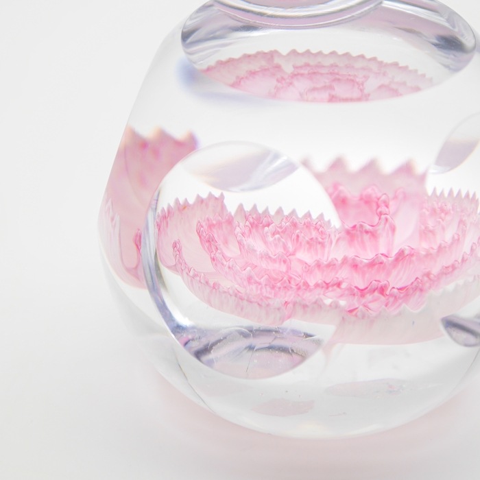 Caithness���ڡ��ѡ��������� ��Carnation�ǡ������͡�����󡡥��ꥢ