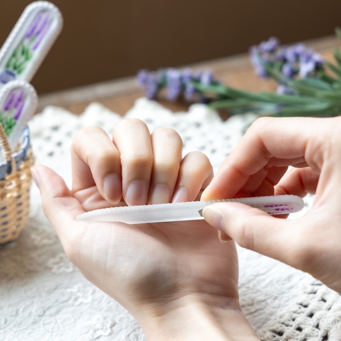 �ޤ䤹�ꡡ����������٥����