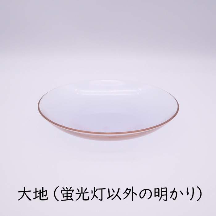値下げ！北一硝子　飾り　大皿　ヴィンテージ 北国の四季 皿 | 北一硝子 まごころお届け便