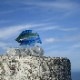 �ڥ����ȥ�åȡۤ��餹�ε�