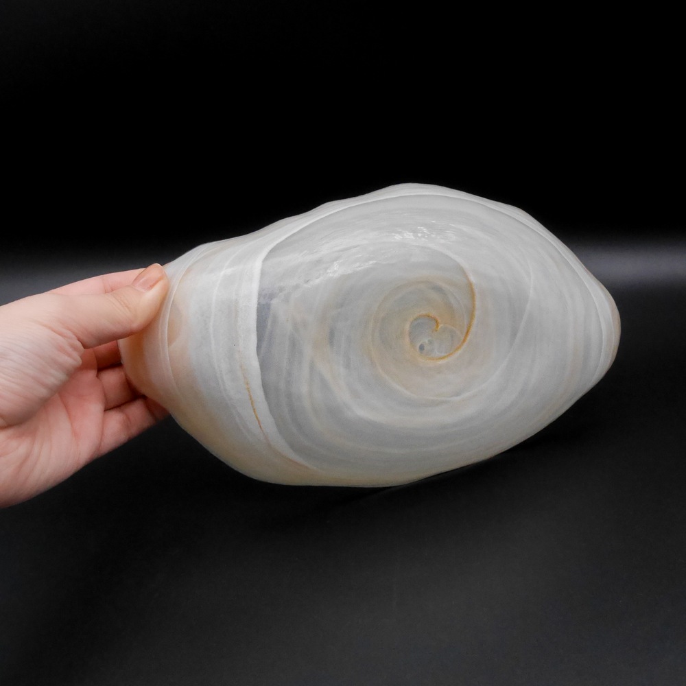 Memory ������