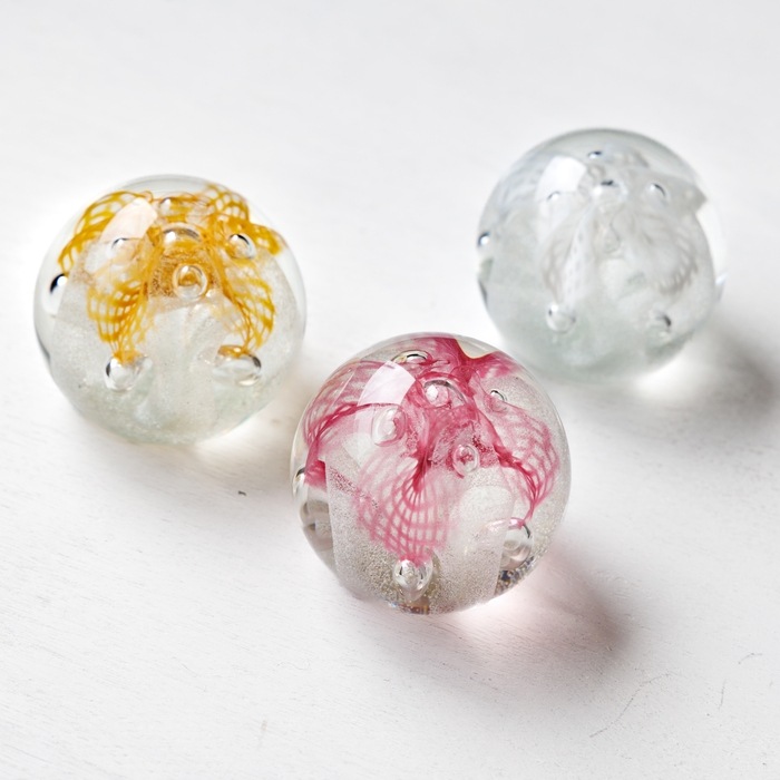 Caithness �ڡ��ѡ��������� Congratulation���˼�