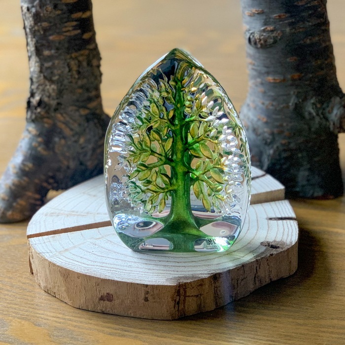 寺田正作 伽羅須装飾画 澂 ガラス トルコキキョウ 在銘 共箱　M517　DC1 世界樹 （大） | 北一硝子 まごころお届け便