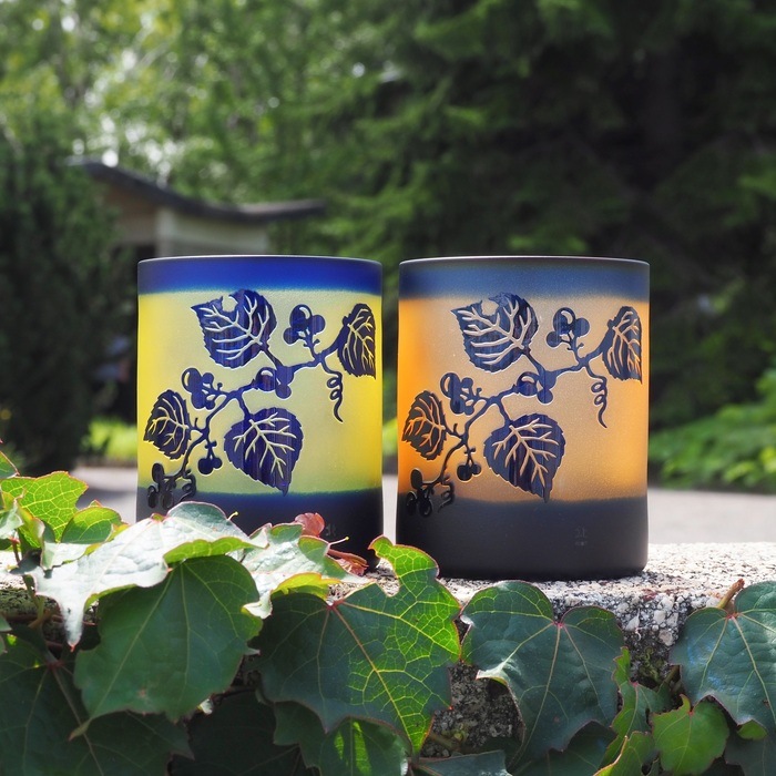 ����ƺ ����