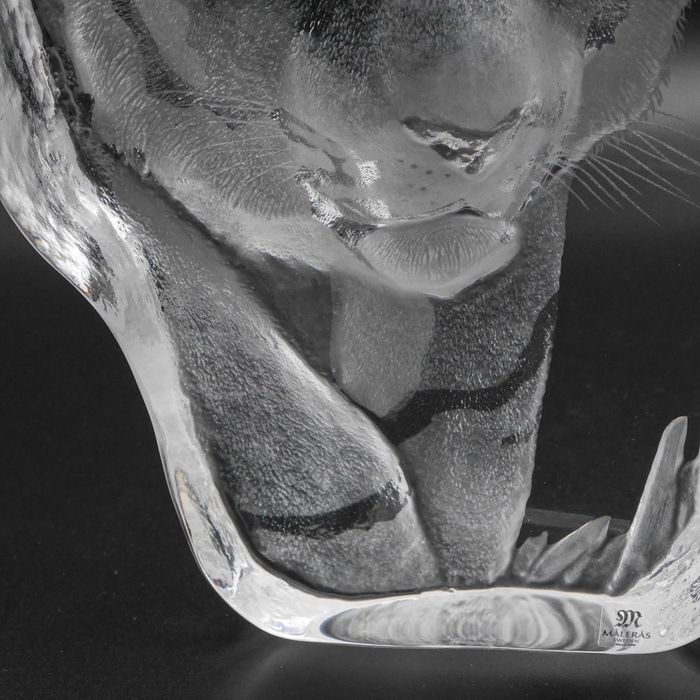 �ޥåĥ���ʥ���  �ס��硡���ꥢ