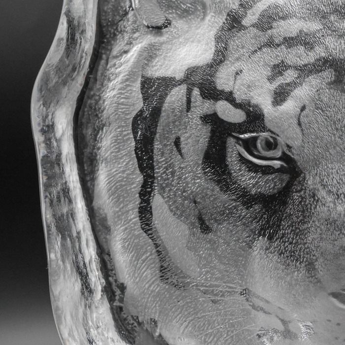 �ޥåĥ���ʥ���  �ס��硡���ꥢ