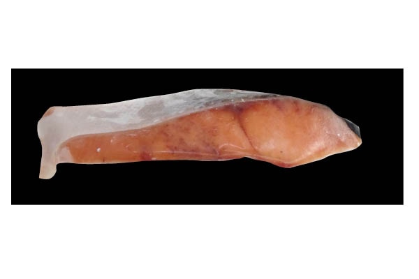 �̳�ƻ�山��������1��