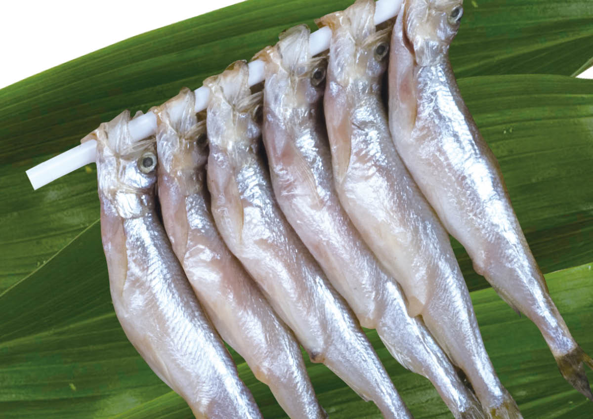 子持ちししゃも 北海道産 本ししゃも子持ち（大）（6尾入）※原料価格高騰の為、入り数