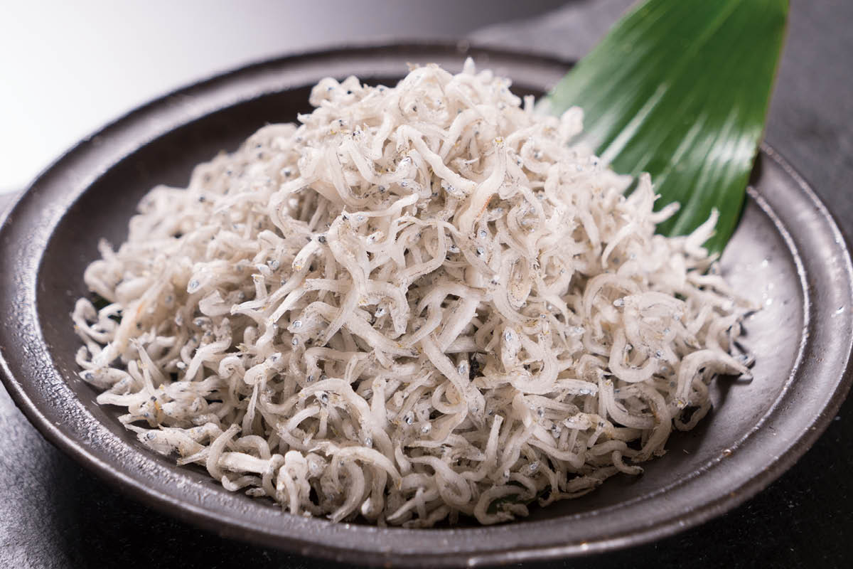 ちりめんじゃこ様　ご相談用 谷口海産 大分県産ちりめん 40g| コープこうべネット